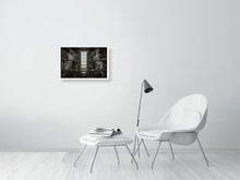 Load image into Gallery viewer, 5535332-1255063