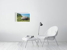 Load image into Gallery viewer, 8539204-3087301