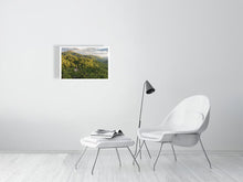 Load image into Gallery viewer, 8539208-3087304