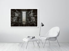 Load image into Gallery viewer, 5535332-1255065