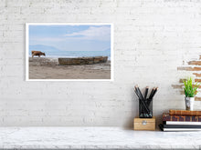 Load image into Gallery viewer, 8539202-3087285