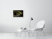 Load image into Gallery viewer, 5572427-1263659
