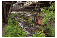 Load image into Gallery viewer, 5571302