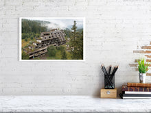 Load image into Gallery viewer, 8539216-3087295