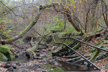 Load image into Gallery viewer, 2025 Urban Exploration Calendar