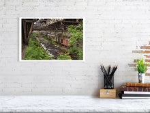 Load image into Gallery viewer, 5571302-1263614