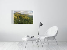 Load image into Gallery viewer, 8539208-3087323