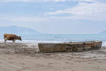 Load image into Gallery viewer, 8539202