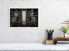 Load image into Gallery viewer, 5535332-1255062