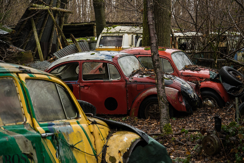 La Forêt aux Coccinelles #01