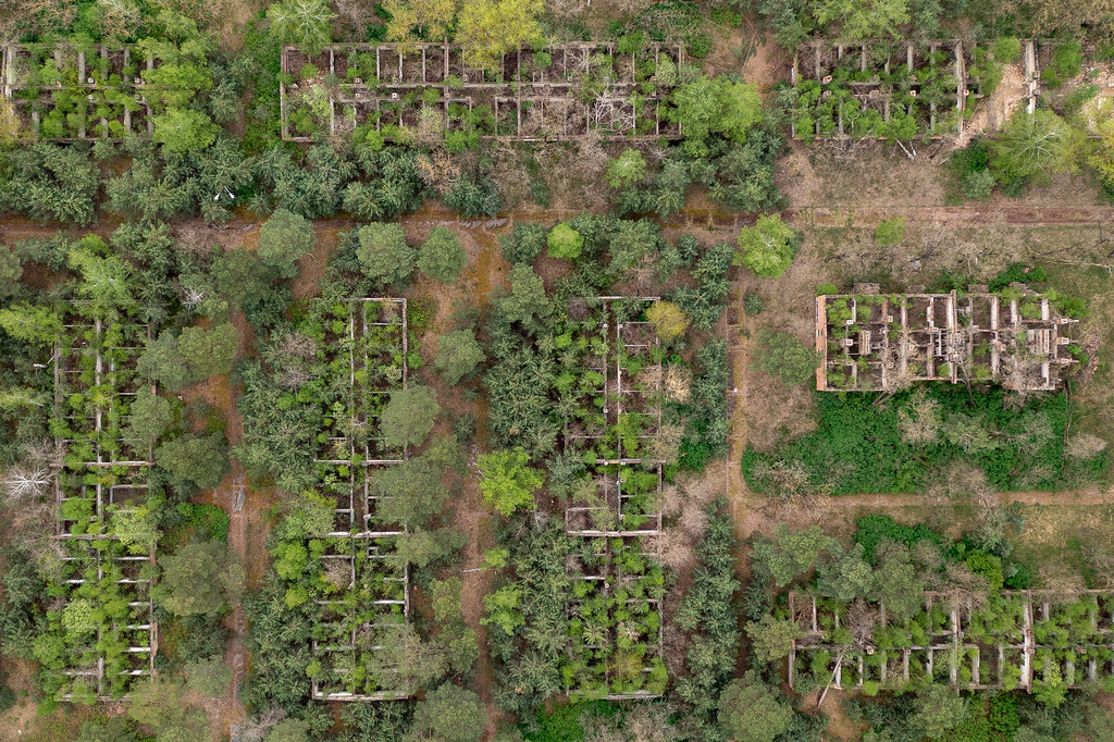 Wasteland Operations #02